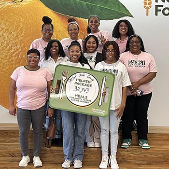 Pink Ice / Cachet gallery image 6