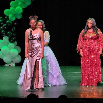 Pink Ice / Cachet gallery image 3