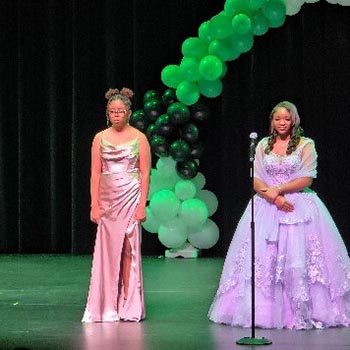 Pink Ice / Cachet gallery image 4