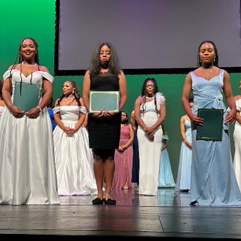 Pink Ice / Cachet gallery image 5